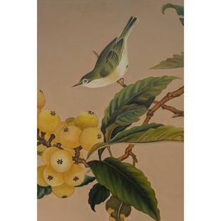 xyt手绘画《枇杷山鸟》暖调好寓意入户客厅餐厅玄关新中式艺术画