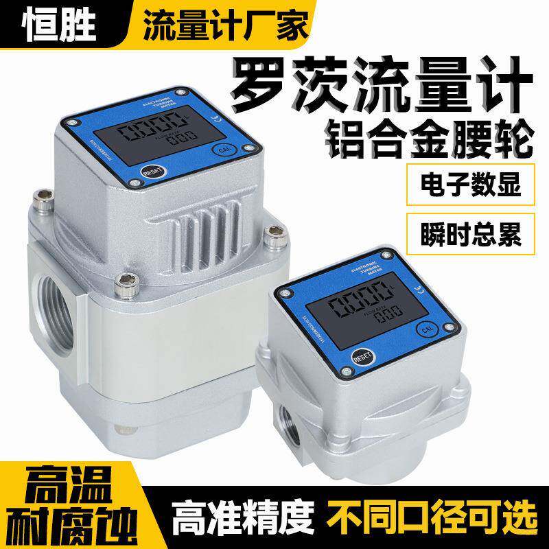 高精度气体流量计天然气氧气压缩空气气体腰轮电子数显罗茨流量计