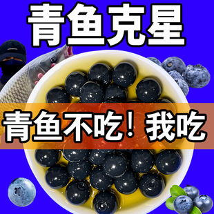 青鱼珠珠软饵料钓巨物颗粒野钓黑坑专用钓鱼缓沉浮水大青克星鱼饵