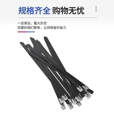喷塑304不锈钢扎带4.8/8MM船用扎带金属防锈收紧束线绑黑色