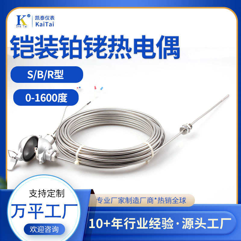 S型铠装铂铑热电偶WRPK-131  S型B型R型尺寸齐全耐高温0.5偶丝