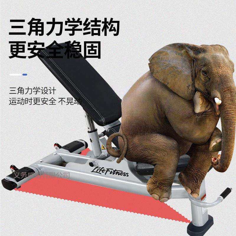 哑铃凳卧推凳家用折叠家庭多功能飞鸟健身椅子器材仰卧起坐辅