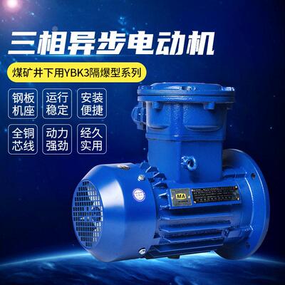 YB3系列煤矿用隔爆型三相异步电动机纯铜线圈防爆电机马达1140V