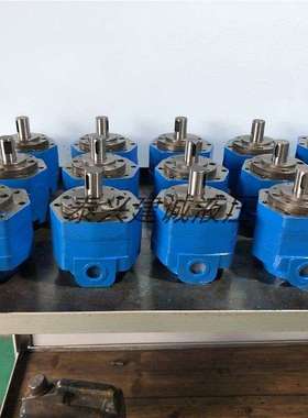 BB-B4 B10 B6 B16 B25 B32 B40 B50 B80 B63 B125N摆线齿轮油泵Y2