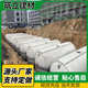 混凝土水泥化粪池隔油池农村家用雨水污水废水收集池消防蓄水池
