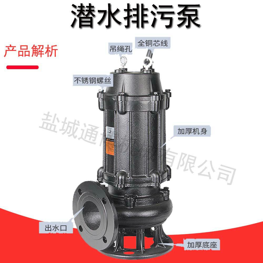 100QJ不锈钢潜水泵220V380V水井潜水泵