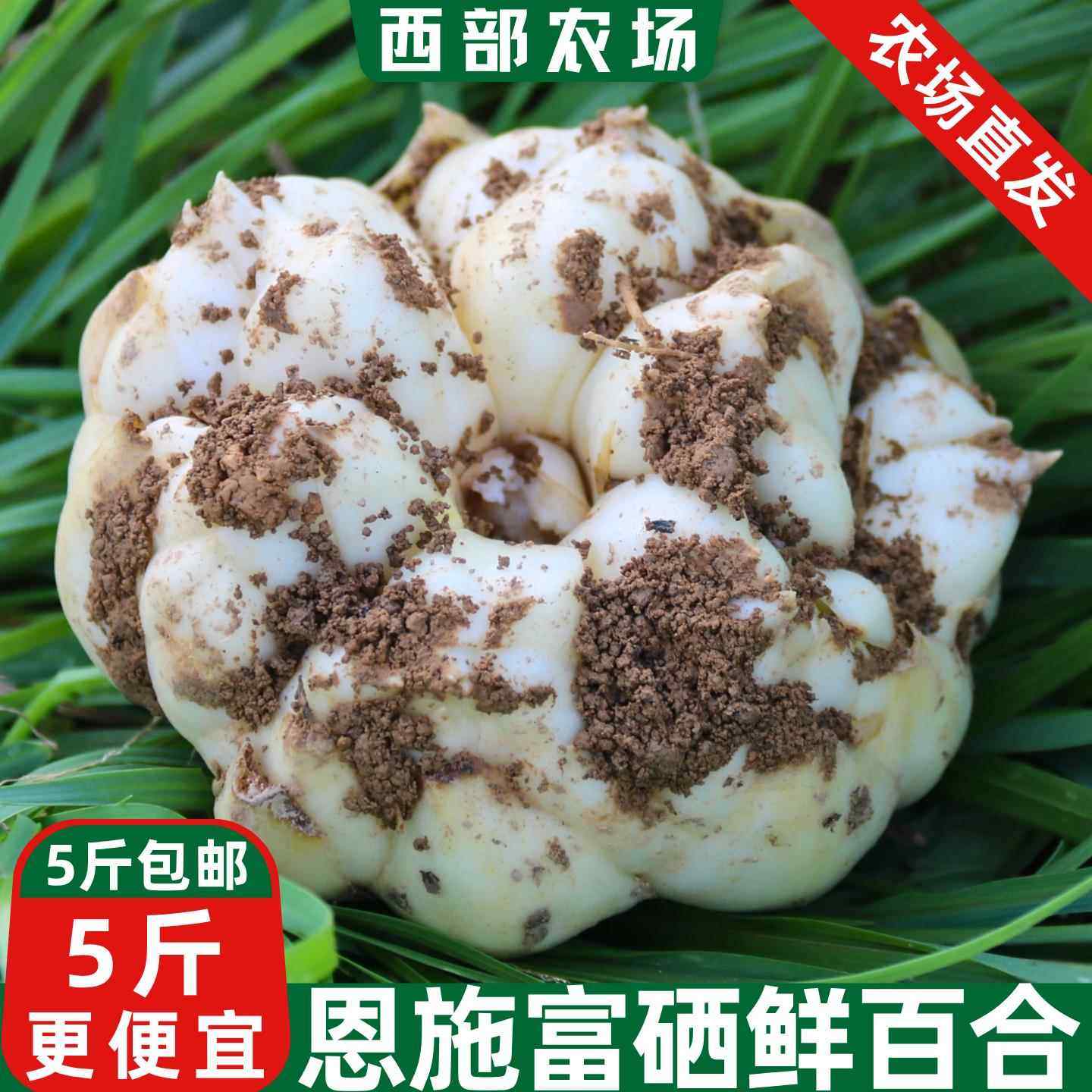百合新鲜食用湖北恩施特产2025正宗富硒非兰州龙山牙宜兴蔬菜包邮,水产肉类/新鲜蔬果/熟食,新鲜百合,淘宝优惠券,粉丝福利购,淘宝优惠卷