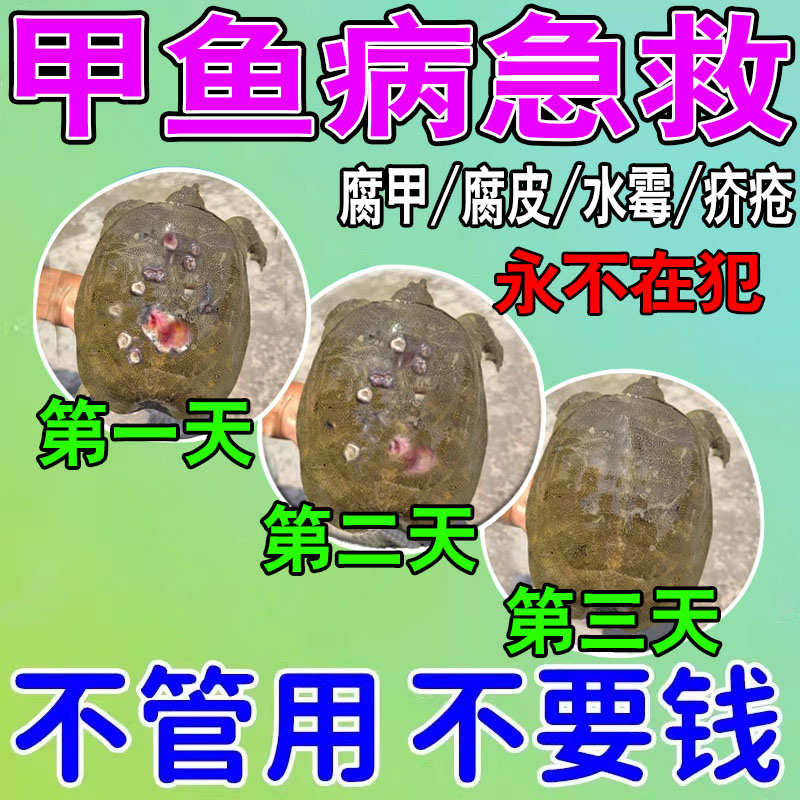 甲鱼专用药水产养殖乌龟老鳖腐皮烂甲鱼塘消毒杀菌灵水霉白斑病清