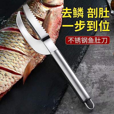 Stainless Steel Fish Scaler and Belly Slitter - 2-in-1 Multi