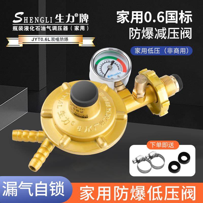 生力新国标家用0.6双咀防爆瓦斯竈热水器调压器液化石油气减压阀