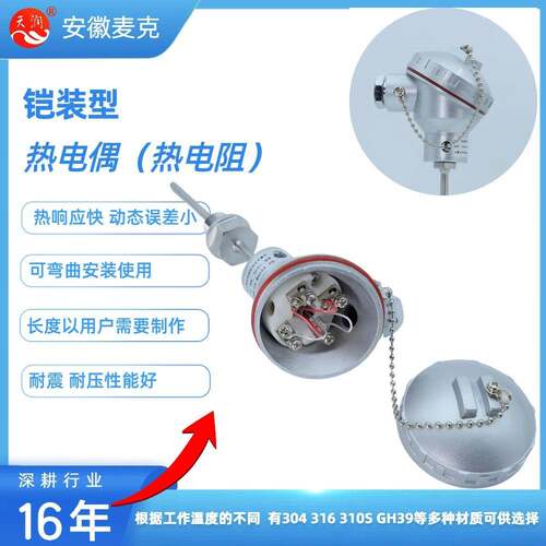 铠装热电偶K型 铠装铂电阻 PT100 WRNK-231 WZPK-231固定螺纹式 K