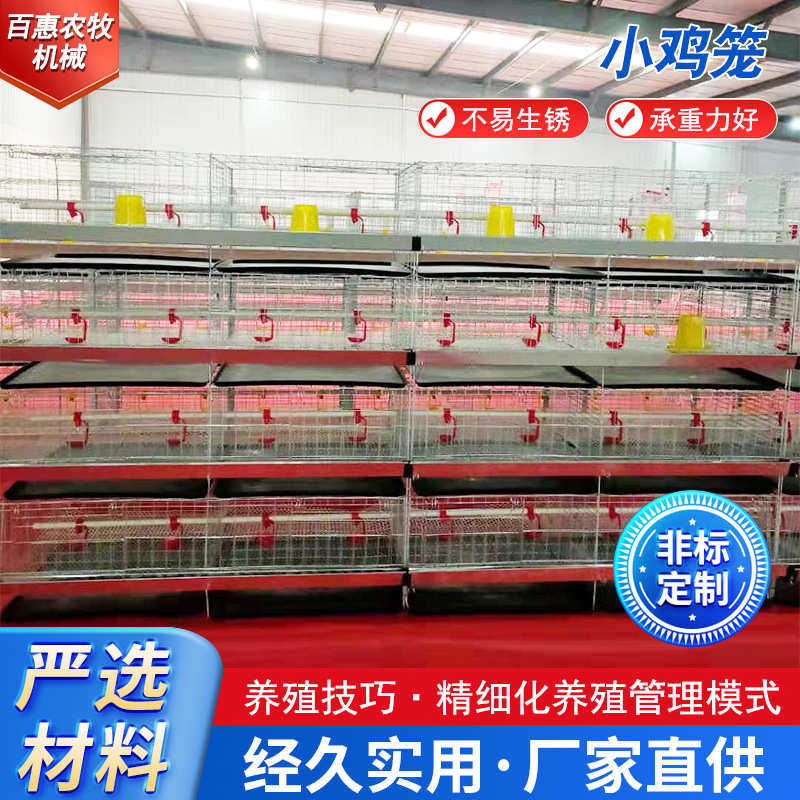 育雏立式笼养鸡鸡舍鸡笼镀锌供应养殖笼厂家小鸡设备防锈,机械设备,农业机械/园林设备/畜牧设备,淘宝优惠券,粉丝福利购,淘宝优惠卷
