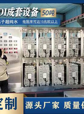 edi模块超纯水反渗透工业设备半导体电厂光伏制5吨EDI膜块
