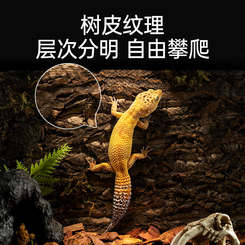 其鳞爬宠造景背景板天然香槟树皮守宫蜥蜴饲养箱专用生态龟缸造景