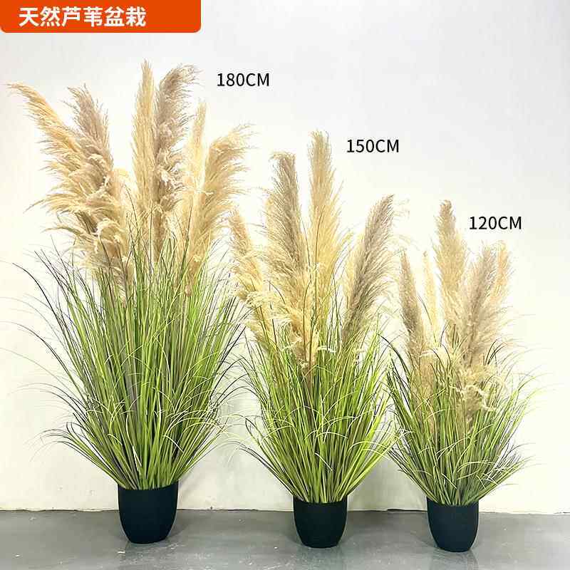 仿真芦苇假绿植盆仿人真天然芦苇花束办公室绿家栽植居装饰拍照道