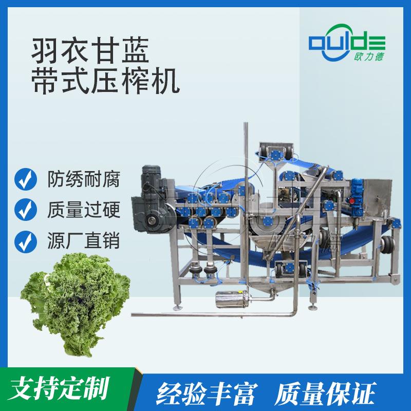 羽衣甘蓝带式榨汁机304钢滤带多辊碾压出汁率82%果蔬渣自动分离