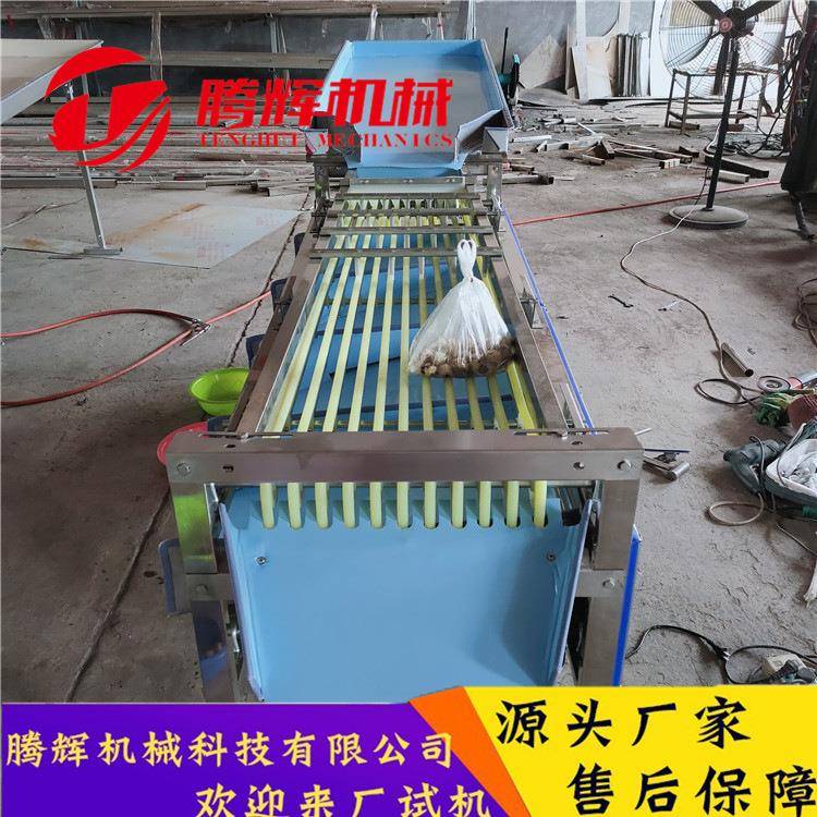 圣天百香果砂糖橘分选机 水果分级 红枣大小分级 农产品专用