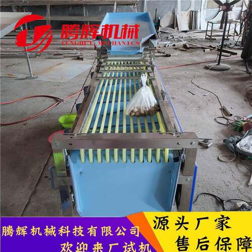 圣天百香果砂糖橘分选机 水果分级 红枣大小分级 农产品专用