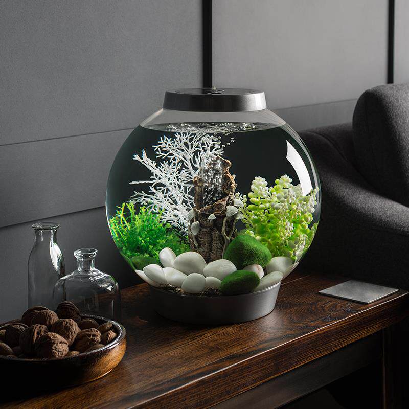 biorb小鱼缸水族箱家用创意桌面小型圆形个性流水装饰造景套餐