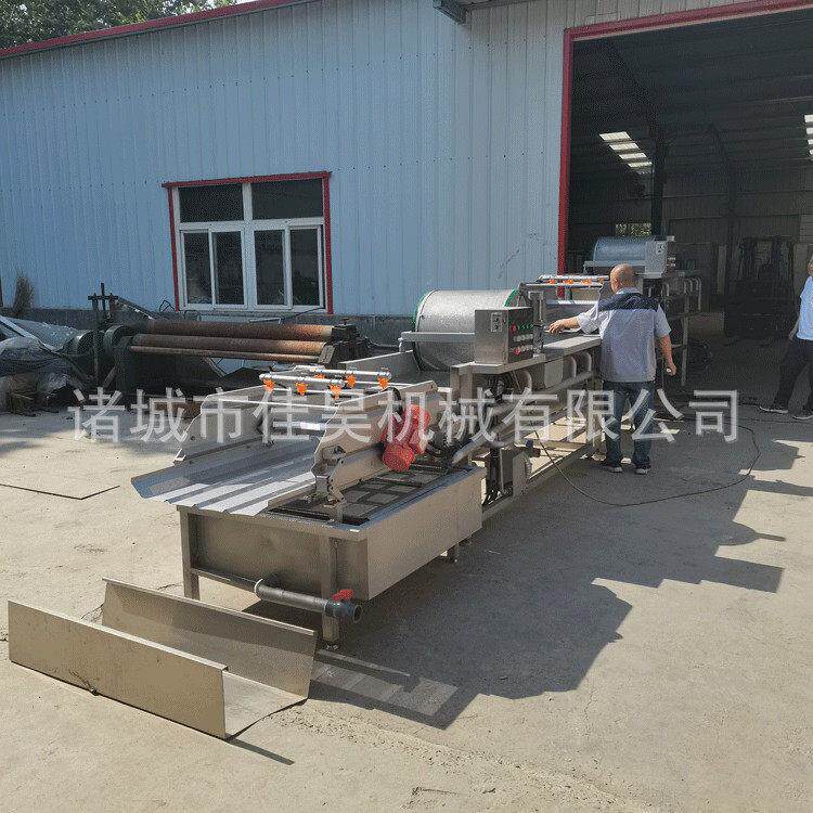 豆芽净菜半成品菜清洗机器小型芽苗菜专用加工生产线食品机械设备