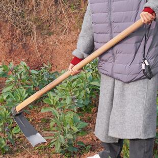 全钢农种植田木耙锄种菜除草翻地户外柄挖664土锻打锄用头 头老式
