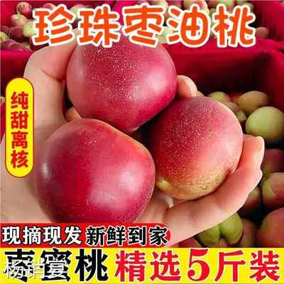 珍珠枣油桃枣味小油桃枣蜜桃5离核纯甜脆硬桃子新鲜水果新疆顺丰