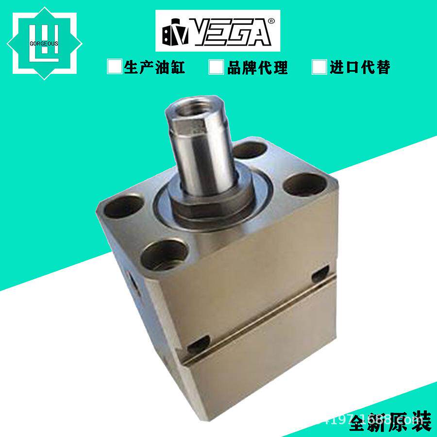 意大利VEGA 柱塞拉杆式方形液压缸CM040E0EG050液压油缸V250CE-10