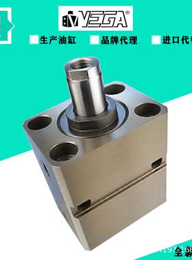 意大利VEGA 柱塞拉杆式方形液压缸CM040E0EG050液压油缸V250CE-10