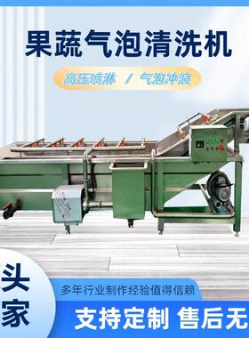 商用瓜果蔬菜气泡清洗机辣椒海鲜全自动喷淋式清洗机多功能洗菜机