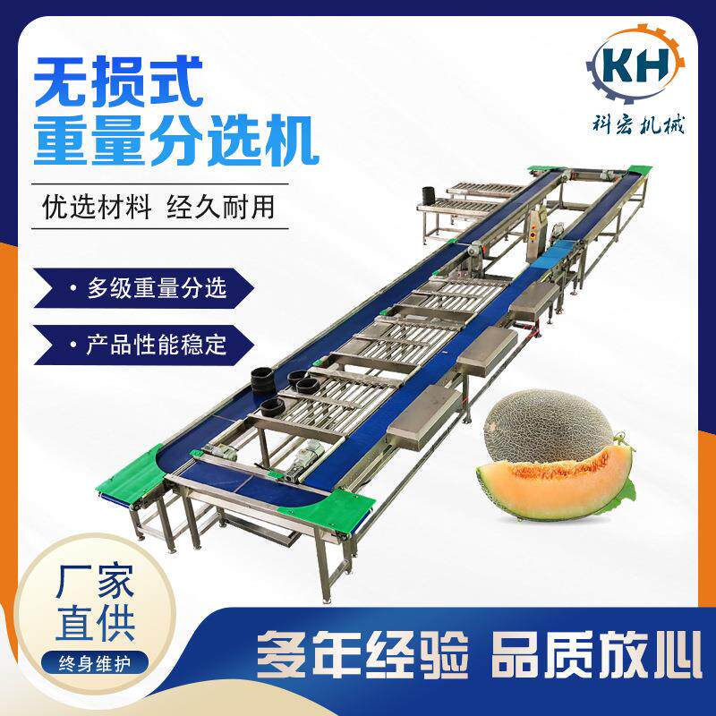 机械无损式重量分选机大青芒榴莲智能分拣重量分选
