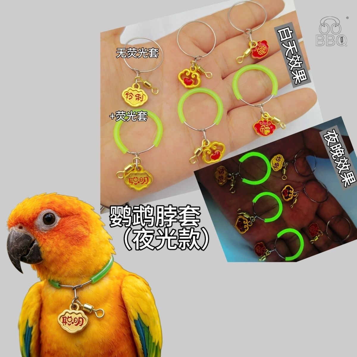 小太阳夜光鹦鹉小鸟项链太阳雨衣