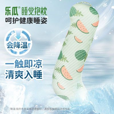 乐瓜冰丝凉感睡觉抱枕夹腿侧睡女生专用大人夏季长条可拆洗冰西瓜