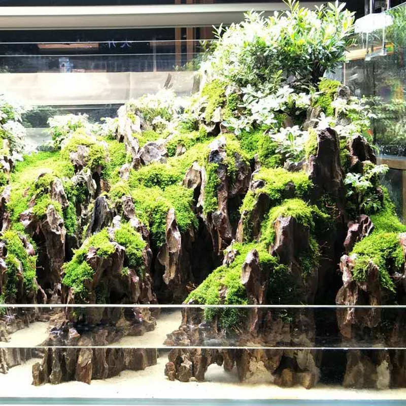 鱼缸精选生态摆件松皮假山松皮石景水草水族石清石龙骨洗骨架装饰