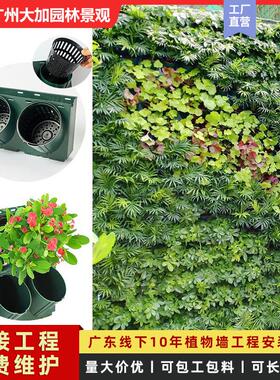 绿化植物墙户外垂直立体种植槽围挡真植物种植盒绿植墙植物种植盒