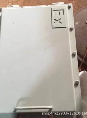 防爆接线箱BX隔端关爆子箱开电箱仪表铸铝动BJX力配J电箱检修分线