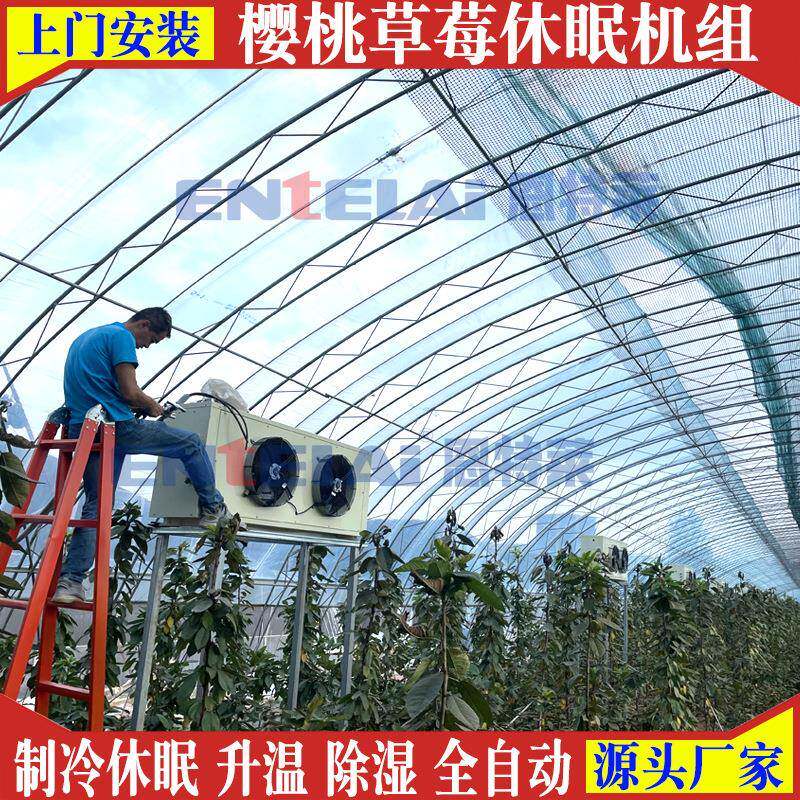 樱桃大棚制冷机蓝莓草莓樱桃休眠机蓄冷机制冷加热除湿一体机