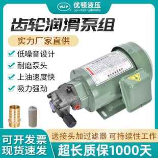 380V齿轮摆线泵工业车床机床齿轮润滑油泵维良油泵2A13A10A泵