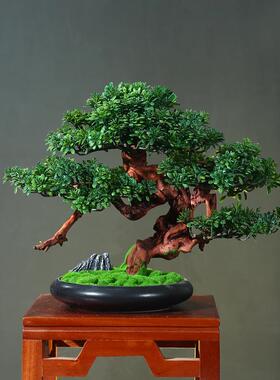 客厅实木仿真迎客松酒店桌面玄关植物松树罗汉松盆景中式装饰摆件