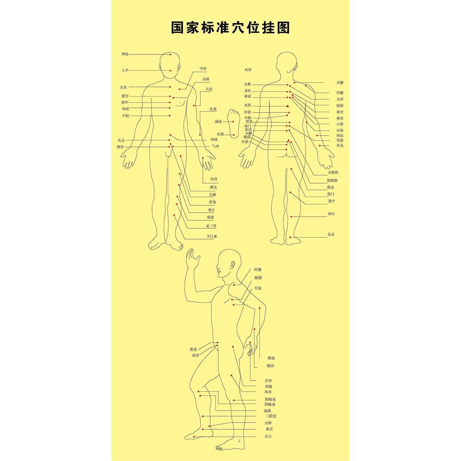 国家标准穴位图全身图海报针灸刮痧艾灸按摩装饰画高清自粘贴图