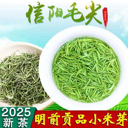东霖堂信阳毛尖2025新茶明前特级小米芽开 园头采贡品手工雪芽250