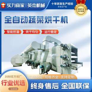 全自动大型多层网带式 烘干机蔬菜芋头秋葵茼蒿白菜辣椒脱水