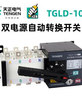 双电源自动转换开关TGLD-100/4P100324025A80A63A