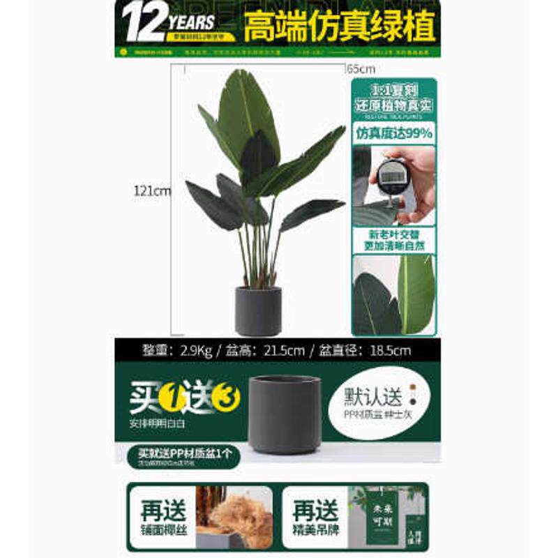 代发植假龟背竹绿蕉北欧盆景摆件落地客厅大型植物盆栽旅人装饰
