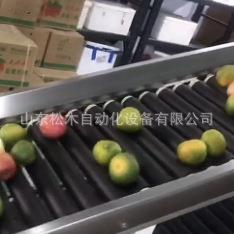 圣女果西红柿分级机全自动滚杠式柑橘芒果重量分拣机猕猴桃分选机