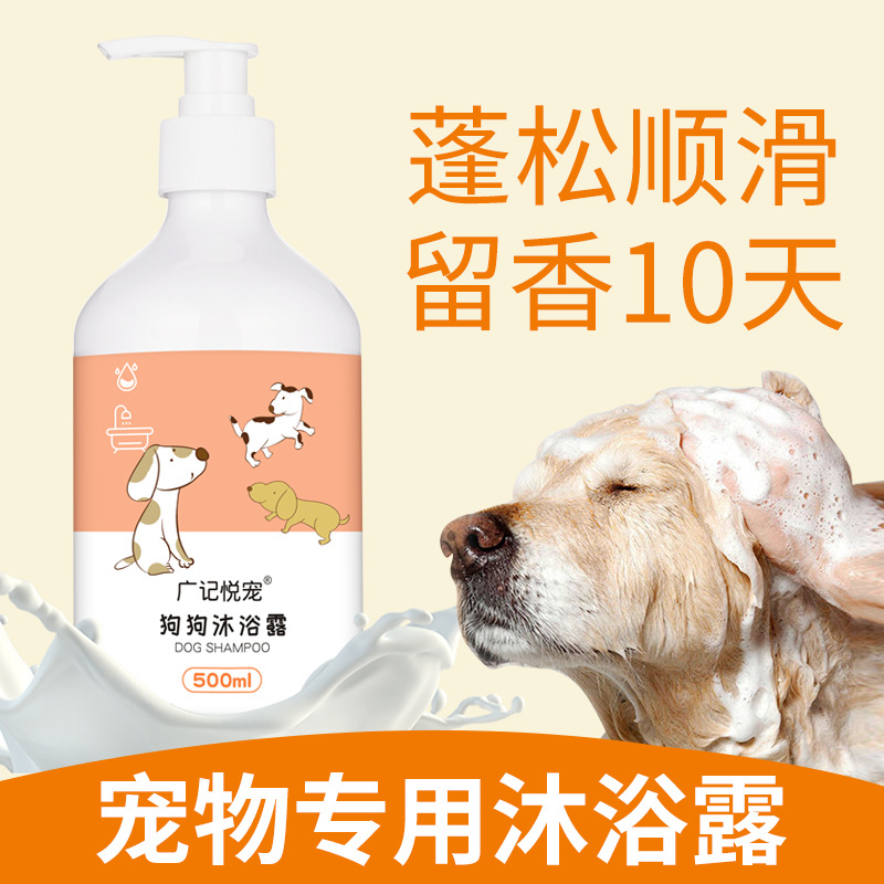 沐浴露金毛英沐浴液猫香波浴液