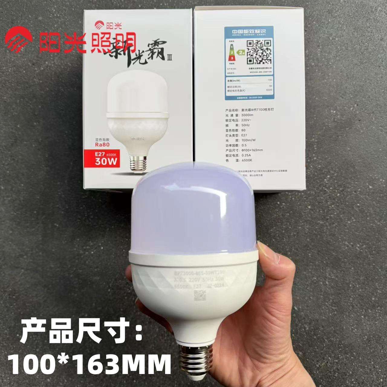 阳光照明led灯泡30W节能灯厂12房吊口灯球泡功大率超亮E72螺10只