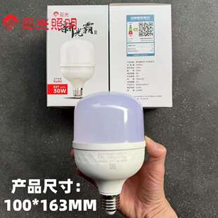 阳光照明led灯泡30W节能灯厂12房吊口灯球泡功大率超亮E72螺10只