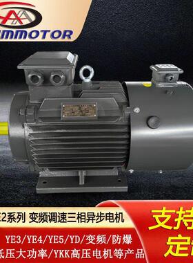 河北西玛电机定制生产YVFE2-8极2.2-250w变频调速三相异步电动机