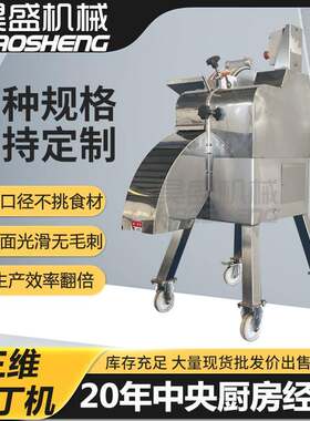 鲜笋小型切丁设备腌制笋小型切丁机器中三维球茎类果蔬切丁机