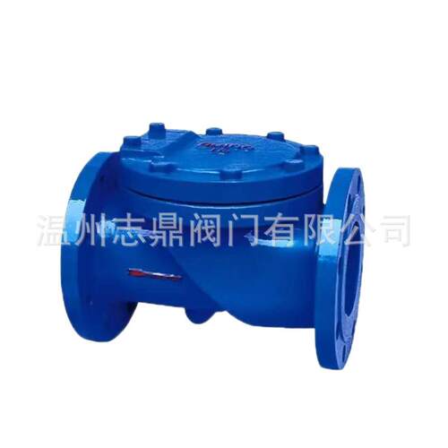 HC44X-16Q/CDN50-DN600球墨铸铁铸钢法兰连接橡胶瓣止回阀水利